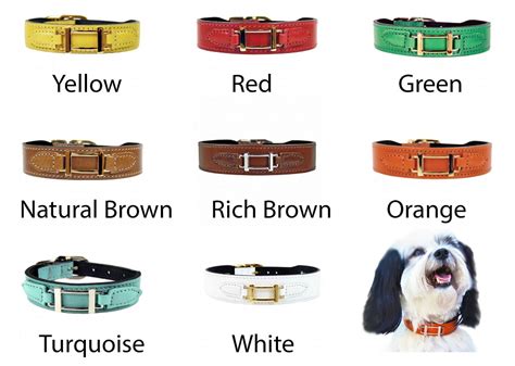 replica hermes dog collar and leash|hermes equestrian plates.